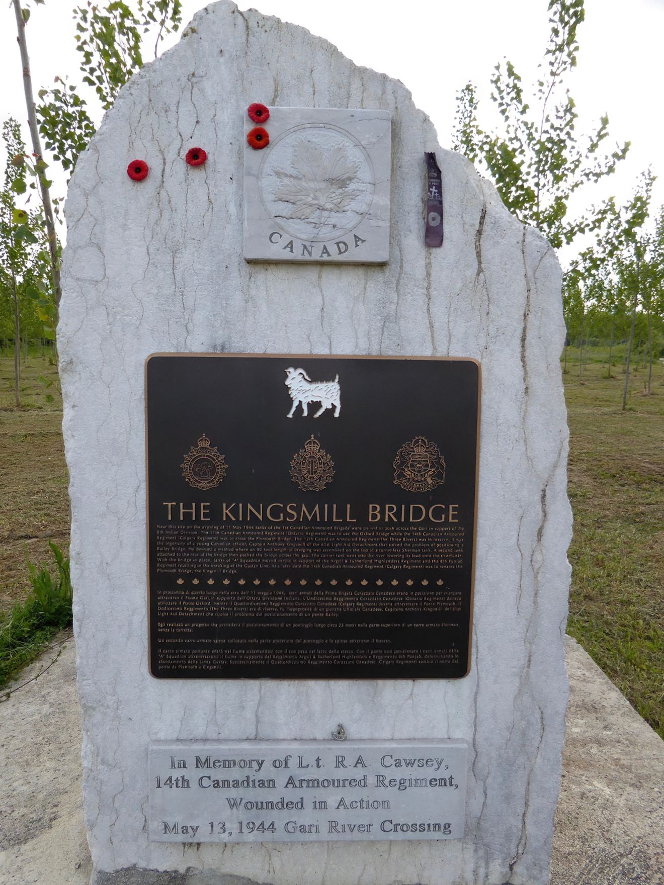 Photo: M. P. (Patricia) Murphy, Major (ret'd)