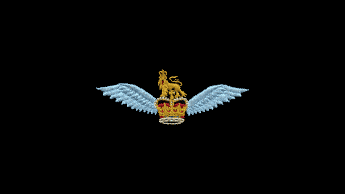 The Canadian Army Flying Badge